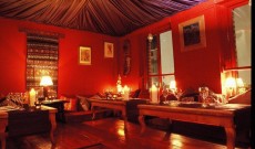 Chameleon Restaurant Chameleon Restaurant