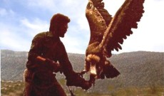 Eagles Flying Eagles Flying