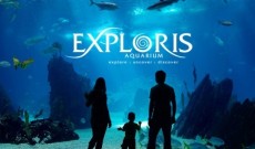 Exploris Aquarium Exploris Aquarium
