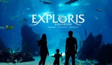 Exploris Aquarium