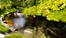 St. Patrick’s Holy Well – Belcoo