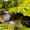 St. Patrick’s Holy Well – Belcoo St. Patrick’s Holy Well – Belcoo