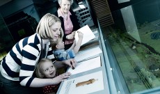 Mid-Antrim Museum Mid-Antrim Museum