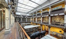 National Museum of Ireland – Natural History