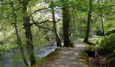 Roe Valley Country Park Roe Valley Country Park
