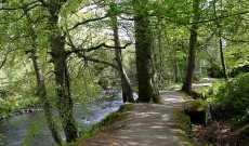 Roe Valley Country Park