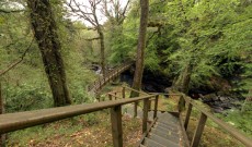 Ness Wood Country Park Ness Wood Country Park