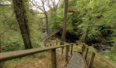 Ness Wood Country Park