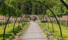 Bangor Castle Walled Garden