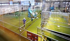 Pure Skill Galway Pure Skill Galway