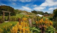Fernhill House Hotel & Gardens Fernhill House Hotel & Gardens