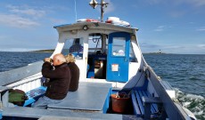 Copeland Island Bird Observatory Copeland Island Bird Observatory