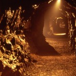 Aillwee Cave