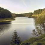 Banagher Glen, Co. Londonderry, Northern Ireland.