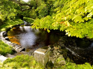 St. Patrick's Holy Well Belcoo Historical Sites Co. Fermanagh