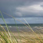 Tyrella Beach, Co. Down, Northern Ireland.