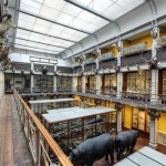 National Museum of Ireland – Natural History