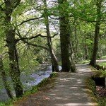 Roe Valley Country Park | Country Parks Co. Londonderry, Northern Ireland