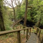 Ness Wood Country Park | Country Parks Co. Londonderry, Northern Ireland
