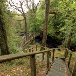 Ness Wood Country Park