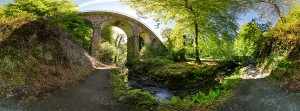 Glen-Walk-Crawfordsburn