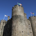 Enniscorthy Castle