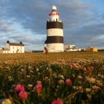 Hook Lighthouse Meadow