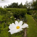 Annas House Garden