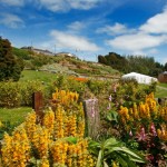 Fernhill House Hotel & Gardens