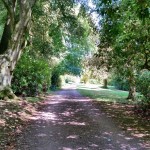 Tullymurry House Driveway