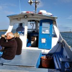 Copeland Island Bird Observatory