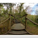 Ness Wood Country Park Gorge Crossing