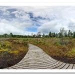 Peatlands Park Bog Walk