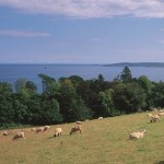 Panoramic Views Carnfunnock Country Park