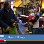 Visitor Vox Pop National Museum of Ireland – Natural History YouTube