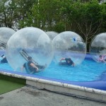 Water Zorbs Carnfunnock Country Park