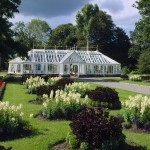 Glasshouse The National Museum of Ireland-Country Life