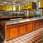 National Museum of Ireland – Natural History